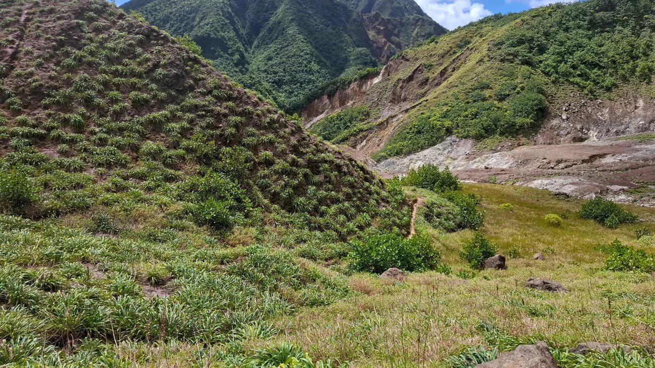 Scenic mountain trail through ancient tropical rainforest on the way to Boiling Lake, Dominica